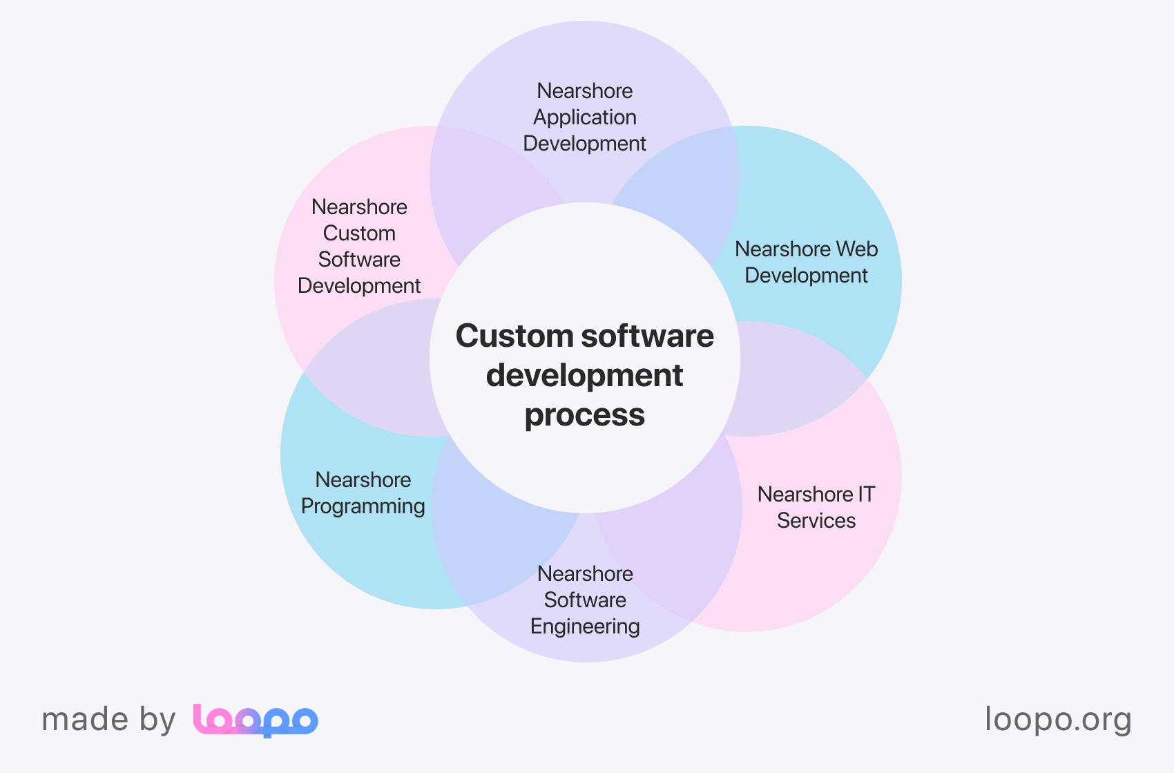 Custom software development process