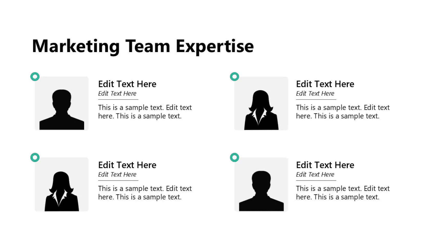 Overview of team expertise